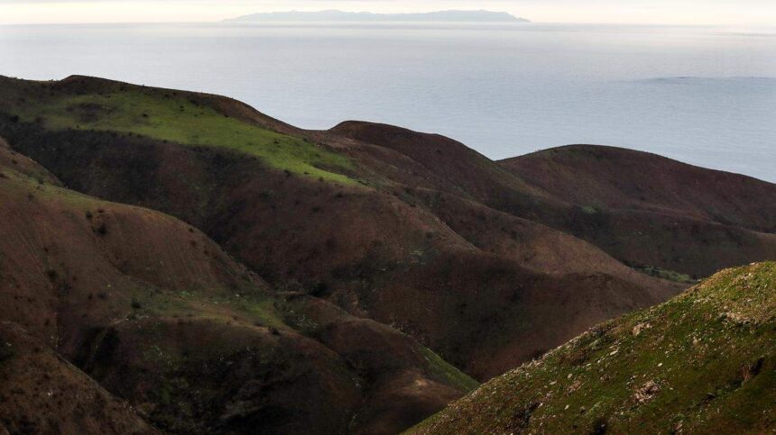 wellness-retreats-usa:-everything-you-need-to-know-about-the-ranch-malibu