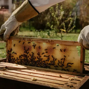 the-wellness-world-has-a-pollinator-problem